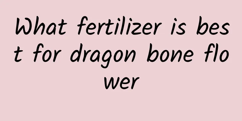 What fertilizer is best for dragon bone flower