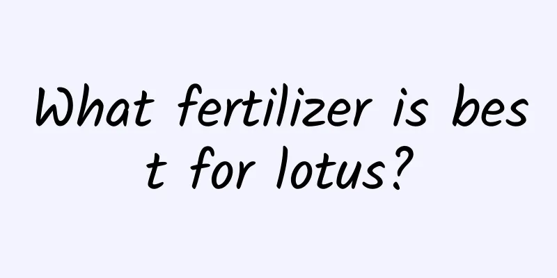 What fertilizer is best for lotus?