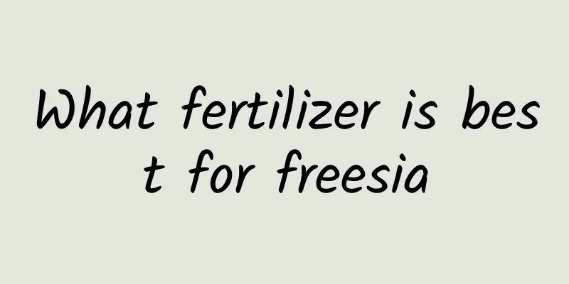 What fertilizer is best for freesia