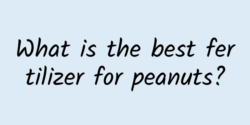 What is the best fertilizer for peanuts?