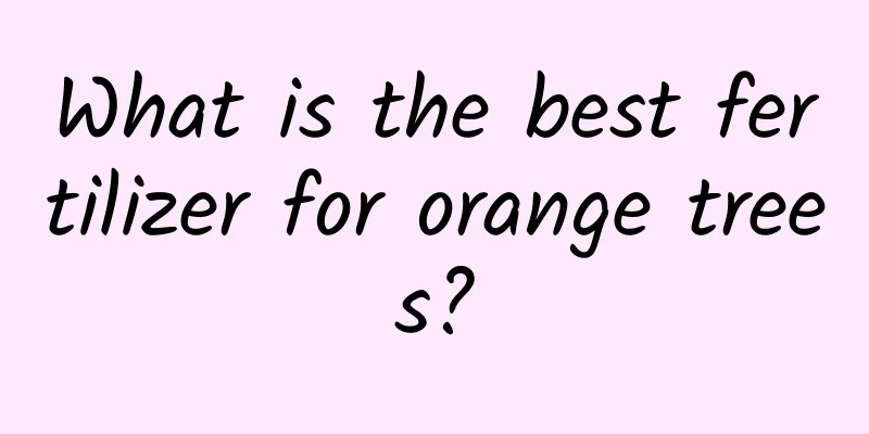 What is the best fertilizer for orange trees?