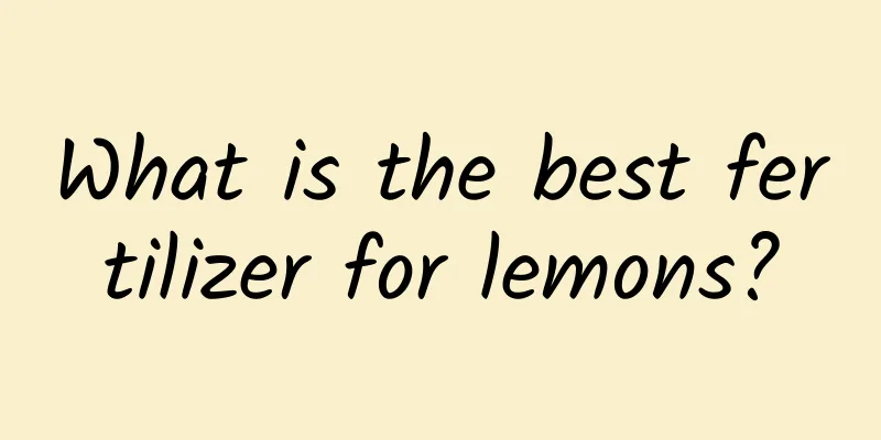 What is the best fertilizer for lemons?