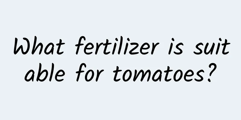 What fertilizer is suitable for tomatoes?