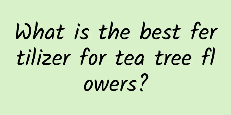 What is the best fertilizer for tea tree flowers?