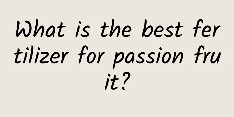 What is the best fertilizer for passion fruit?