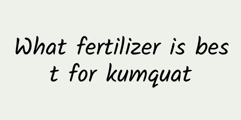 What fertilizer is best for kumquat