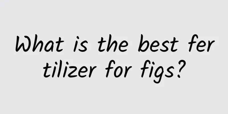 What is the best fertilizer for figs?