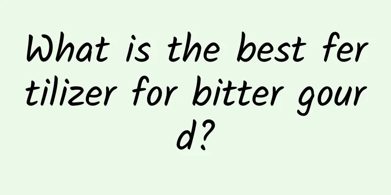What is the best fertilizer for bitter gourd?