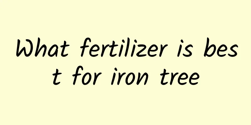 What fertilizer is best for iron tree