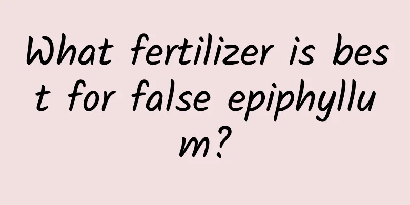 What fertilizer is best for false epiphyllum?