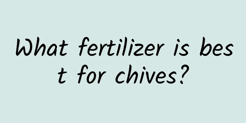 What fertilizer is best for chives?