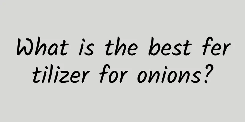 What is the best fertilizer for onions?