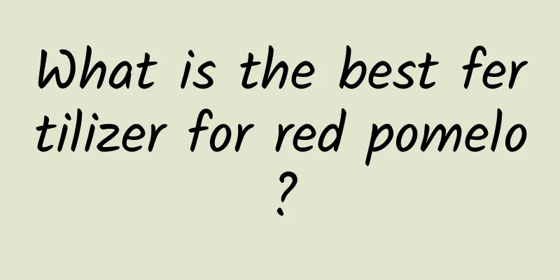 What is the best fertilizer for red pomelo?