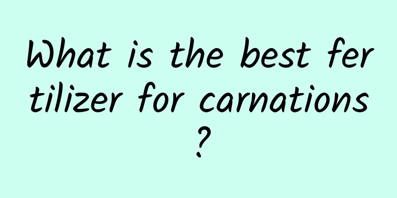 What is the best fertilizer for carnations?