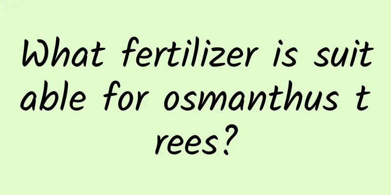 What fertilizer is suitable for osmanthus trees?