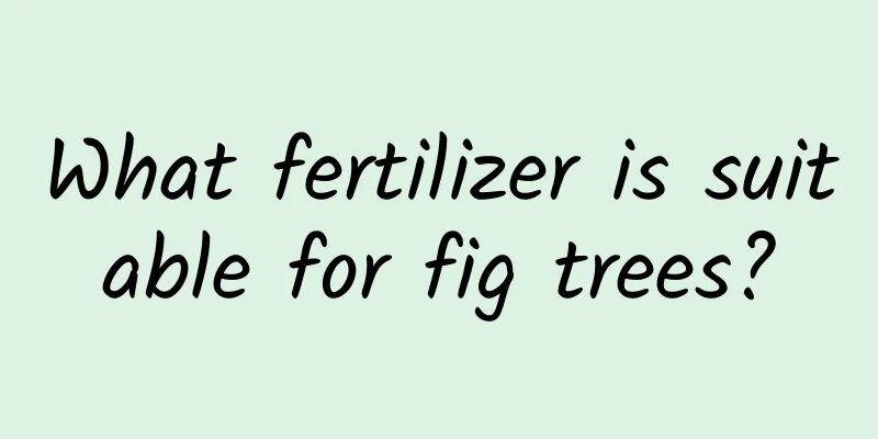 What fertilizer is suitable for fig trees?