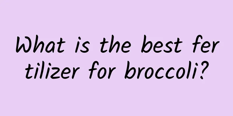 What is the best fertilizer for broccoli?