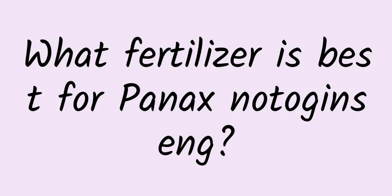 What fertilizer is best for Panax notoginseng?