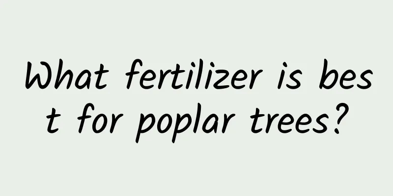What fertilizer is best for poplar trees?