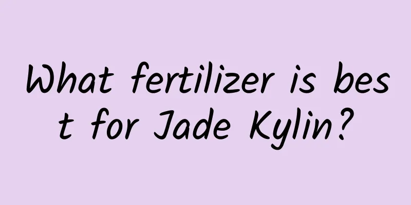 What fertilizer is best for Jade Kylin?