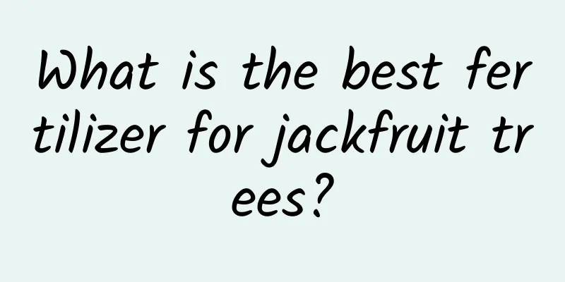 What is the best fertilizer for jackfruit trees?