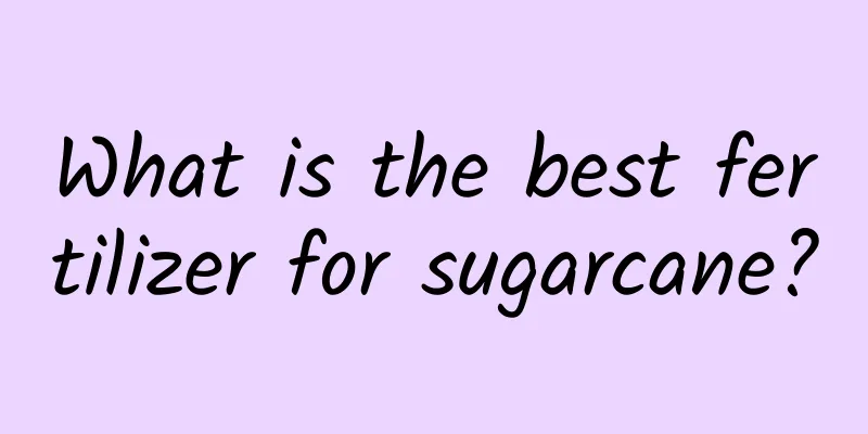 What is the best fertilizer for sugarcane?