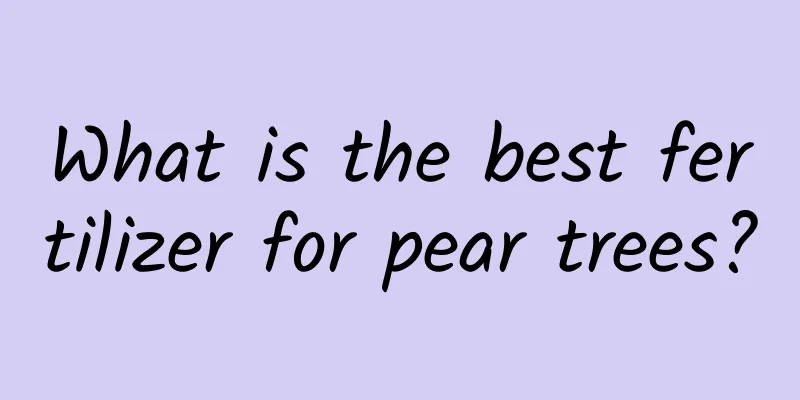 What is the best fertilizer for pear trees?
