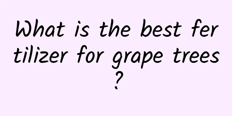 What is the best fertilizer for grape trees?