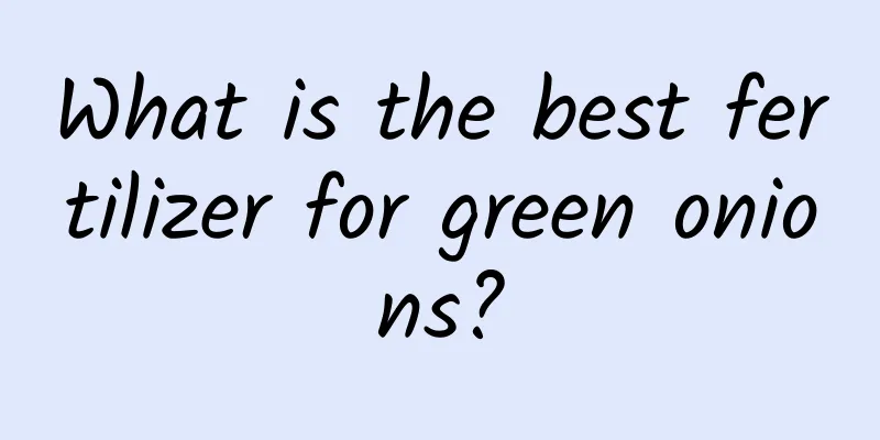 What is the best fertilizer for green onions?