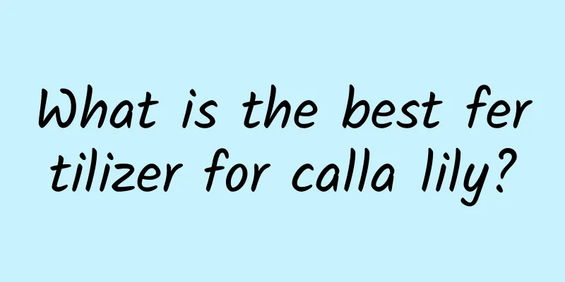 What is the best fertilizer for calla lily?