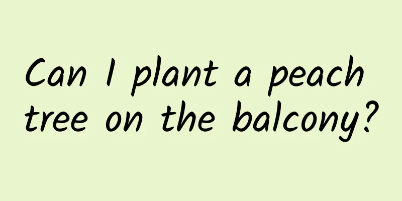 Can I plant a peach tree on the balcony?