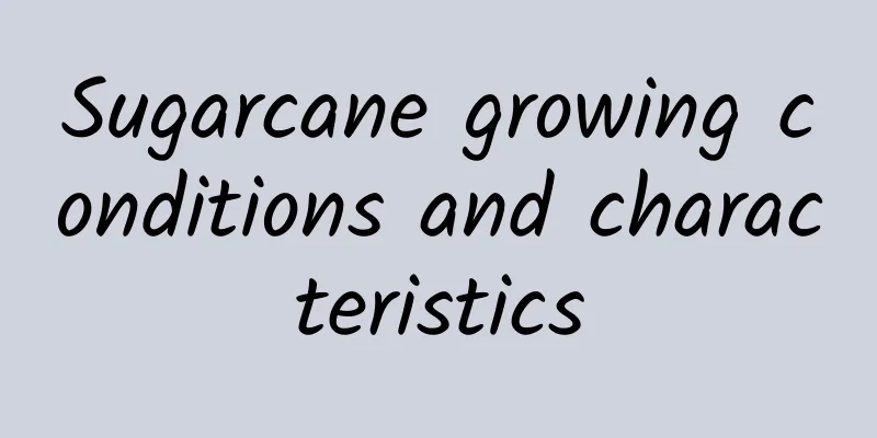 Sugarcane growing conditions and characteristics