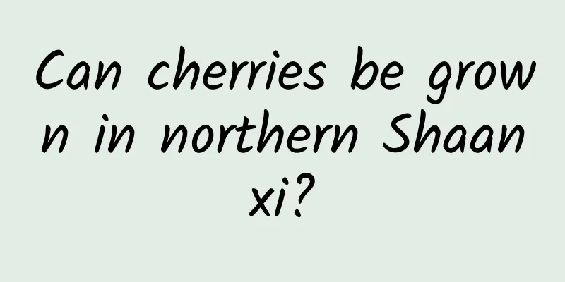 Can cherries be grown in northern Shaanxi?