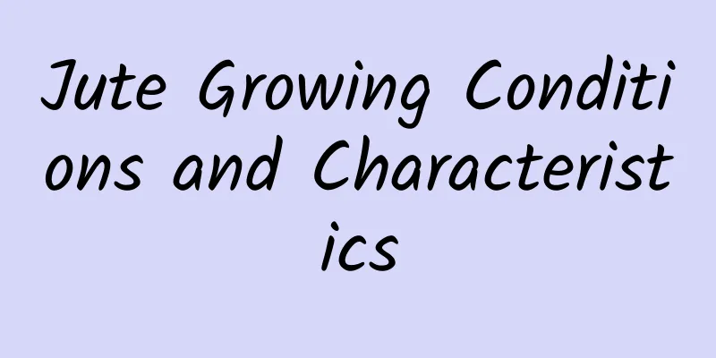 Jute Growing Conditions and Characteristics