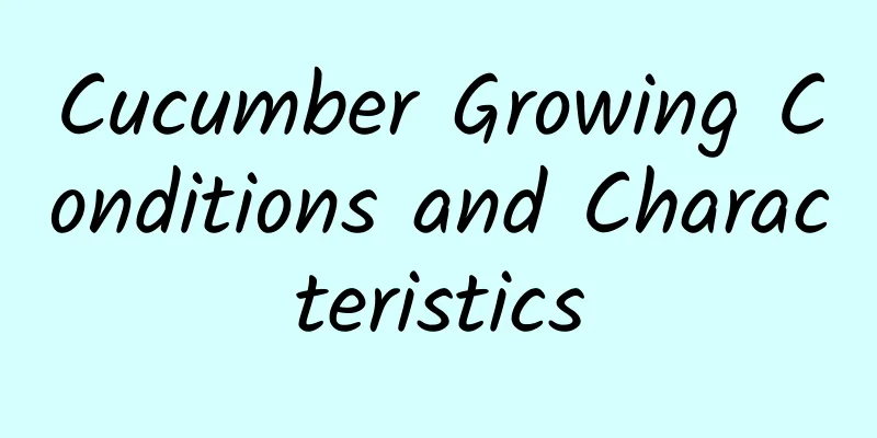 Cucumber Growing Conditions and Characteristics
