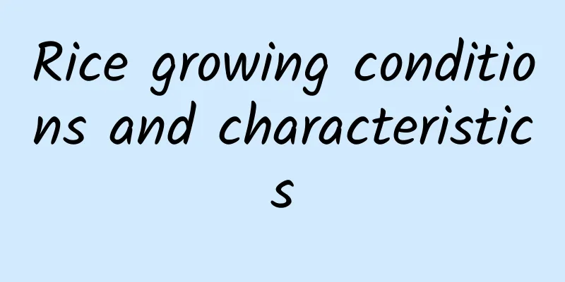 Rice growing conditions and characteristics
