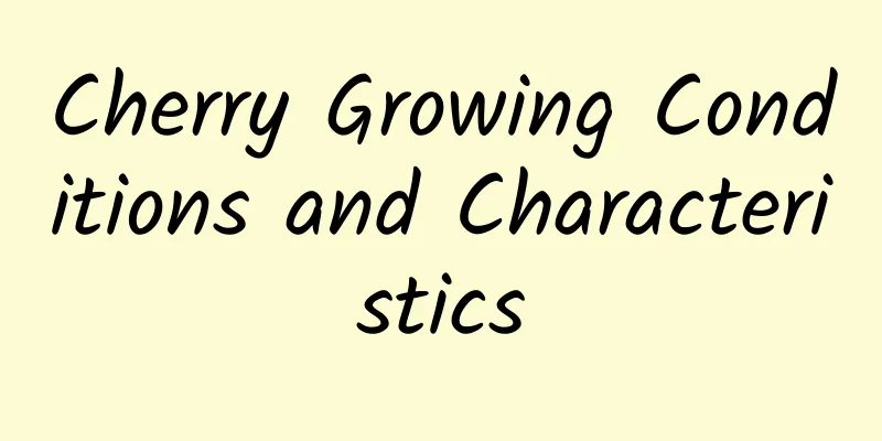 Cherry Growing Conditions and Characteristics