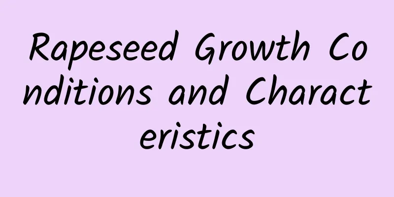 Rapeseed Growth Conditions and Characteristics