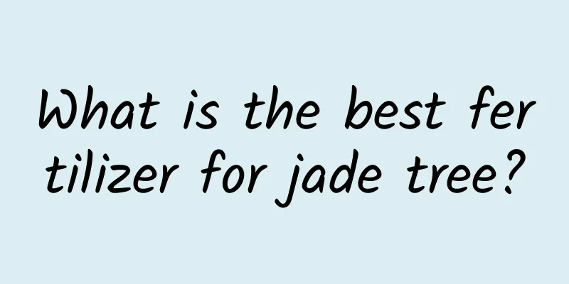 What is the best fertilizer for jade tree?