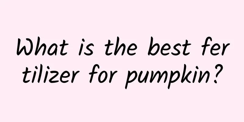 What is the best fertilizer for pumpkin?
