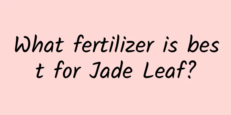 What fertilizer is best for Jade Leaf?