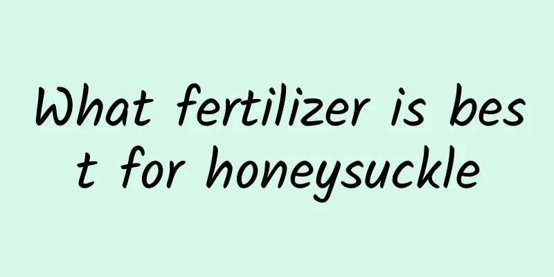 What fertilizer is best for honeysuckle