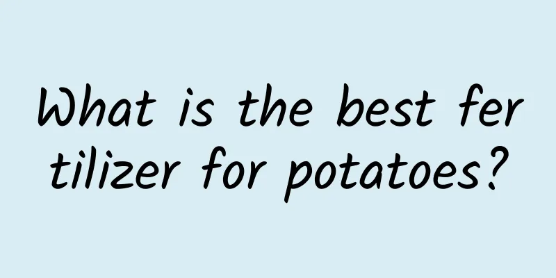 What is the best fertilizer for potatoes?