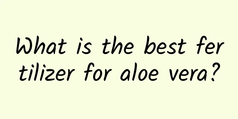 What is the best fertilizer for aloe vera?