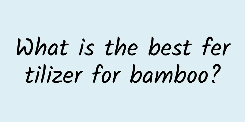 What is the best fertilizer for bamboo?