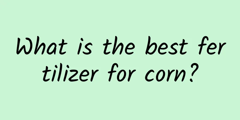 What is the best fertilizer for corn?