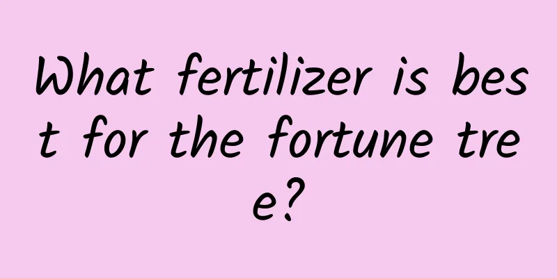 What fertilizer is best for the fortune tree?
