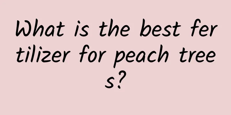 What is the best fertilizer for peach trees?