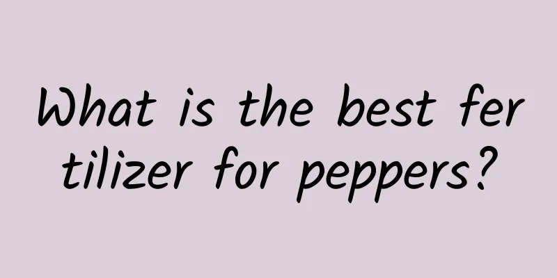 What is the best fertilizer for peppers?