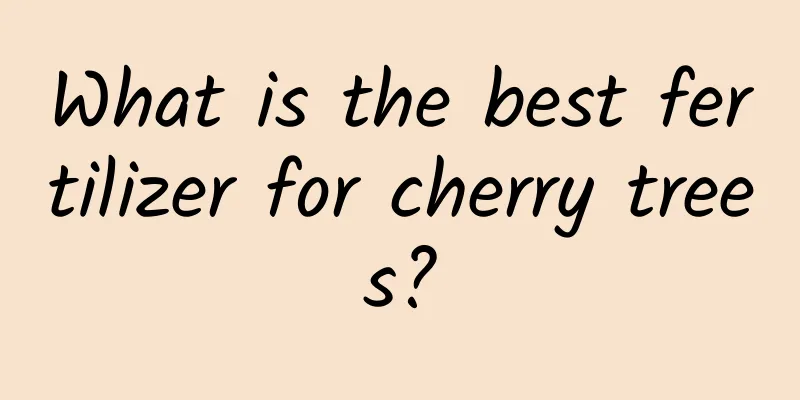 What is the best fertilizer for cherry trees?
